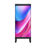 Transparente LED Wand 1×2 m stehend – Holographisches Display inkl. NovaStar & Flight Case